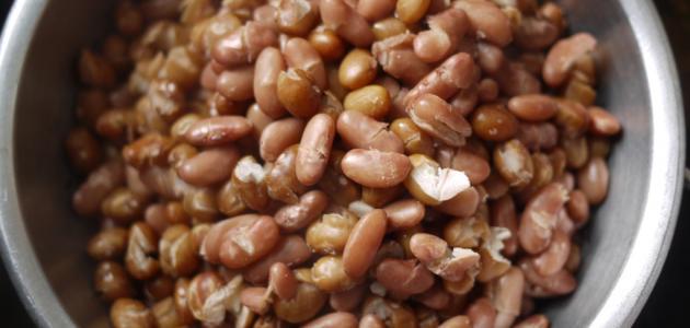 طريقة سلق الفول طريقة سلق الفول