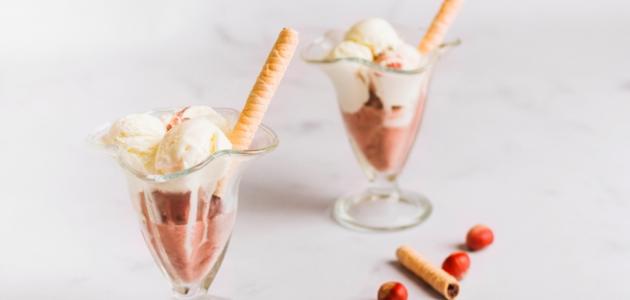 طريقة عمل الآيس كريم بماكينة