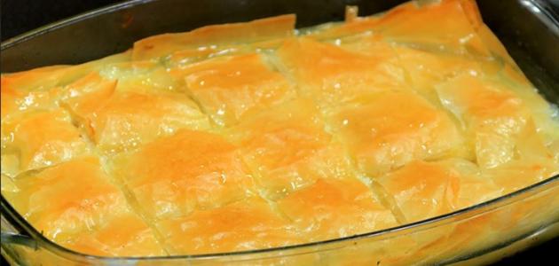 طريقة عمل الجلاش بالكاستر