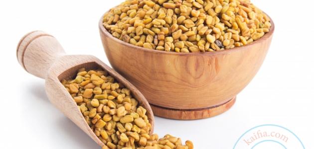 طريقة عمل الحلبة لزيادة الوزن طريقة عمل الحلبة لزيادة الوزن