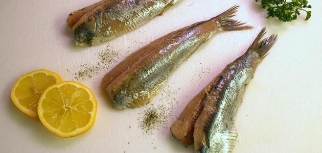 طريقة عمل الرنجة بالزيت والليمون