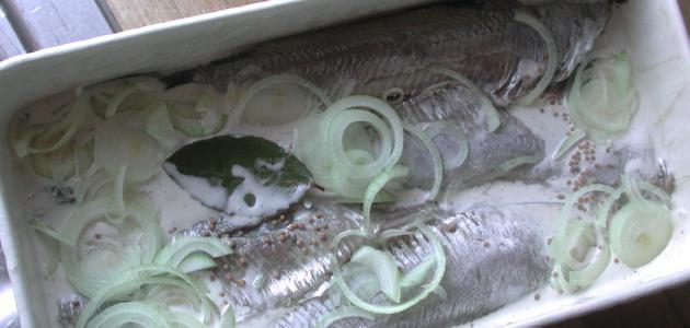 طريقة عمل الرنجة بالطحينة