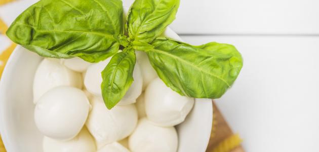 طريقة عمل جبن الموزاريلا في البيت طريقة عمل جبن الموزاريلا في البيت