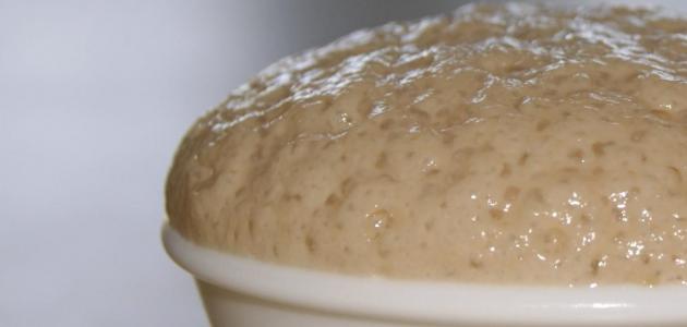 طريقة عمل خميرة الخبز طريقة عمل خميرة الخبز