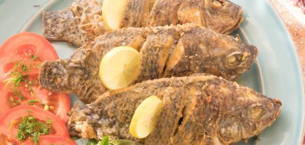 طريقة عمل سمك دنيس مقلي طريقة عمل سمك دنيس مقلي