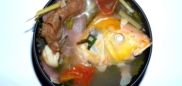 طريقة عمل شوربة رأس السمك طريقة عمل شوربة رأس السمك