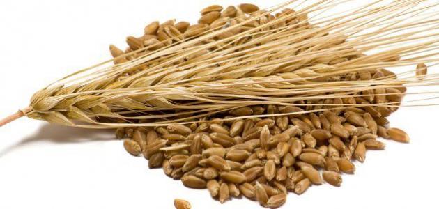 طريقة عمل مغلي الشعير طريقة عمل مغلي الشعير