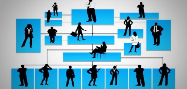 طريقة عمل هيكل تنظيمي لشركة طريقة عمل هيكل تنظيمي لشركة