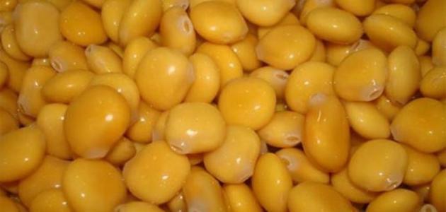 طريقة نقع الترمس المر طريقة نقع الترمس المر