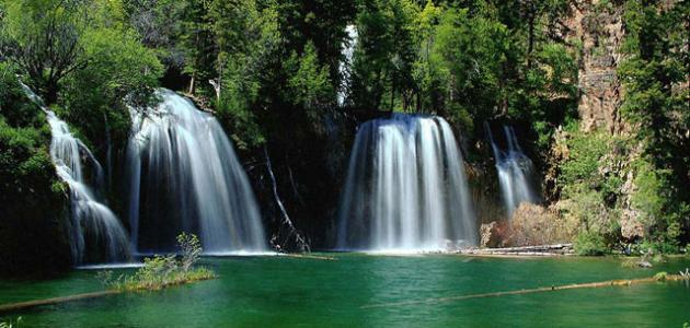 عبارات جميلة عن الطبيعة عبارات جميلة عن الطبيعة