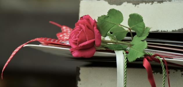 عبارات عن وداع الأهل عبارات عن وداع الأهل