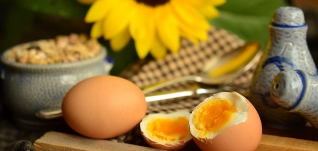 عدد السعرات الحرارية في البيض المسلوق عدد السعرات الحرارية في البيض المسلوق