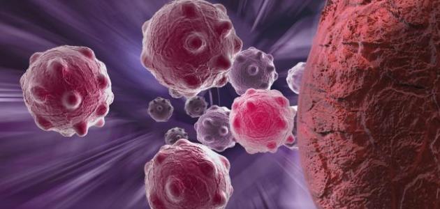 عدد خطوط الدفاع الطبيعية في الجسم عدد خطوط الدفاع الطبيعية في الجسم