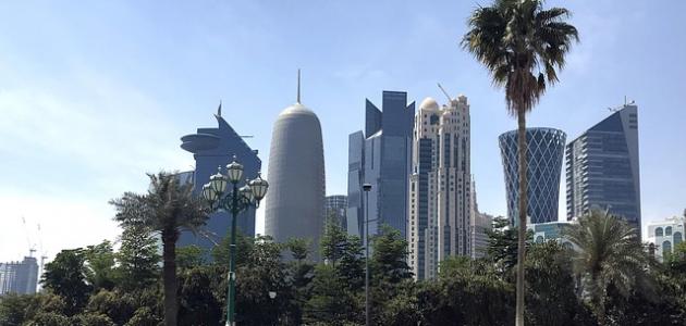 عدد دول الخليج