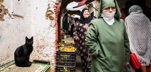 عدد سكان مدينة طنجة