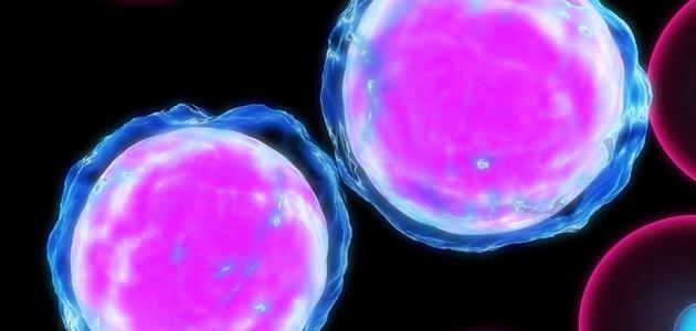 علاج الثلاسيميا علاج الثلاسيميا