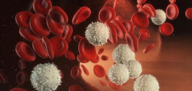 علاج نقص كريات الدم البيضاء والحمراء علاج نقص كريات الدم البيضاء والحمراء