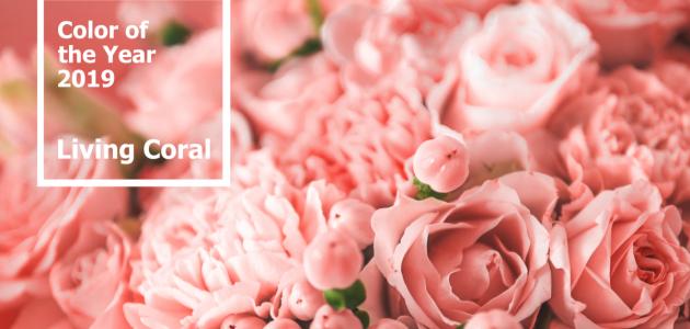 على ماذا يدل اللون الوردي على ماذا يدل اللون الوردي