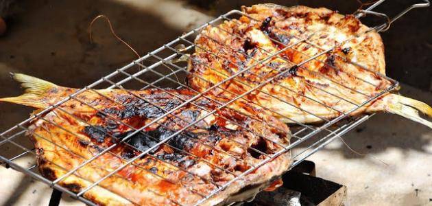 عمل سمك المسكوف عمل سمك المسكوف