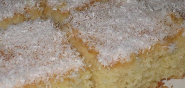 عمل صينية جوز الهند عمل صينية جوز الهند