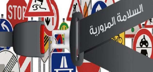 عناصر السلامة المرورية عناصر السلامة المرورية