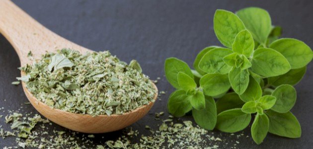 فوائد البردقوش لتكيس المبايض