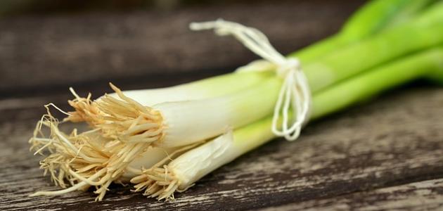 فوائد البصل الأخضر فوائد البصل الأخضر