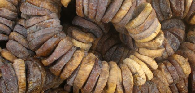 فوائد التين المجفف للحامل فوائد التين المجفف للحامل