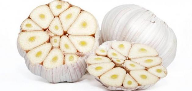 فوائد الثوم للشعر الخفيف والمتساقط فوائد الثوم للشعر الخفيف والمتساقط