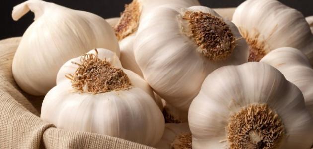 فوائد الثوم للقولون فوائد الثوم للقولون