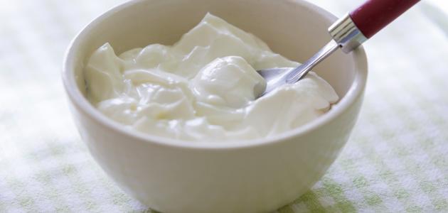 فوائد الثوم مع الزبادي للأطفال فوائد الثوم مع الزبادي للأطفال