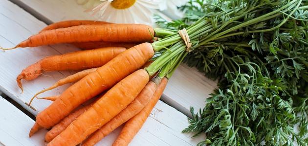 فوائد الجزر للدورة الشهرية فوائد الجزر للدورة الشهرية