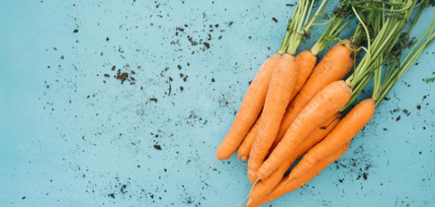 فوائد الجزر للشعر فوائد الجزر للشعر