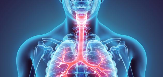 فوائد الجهاز التنفسي