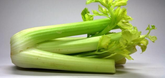 فوائد الحلفا بر للكلى