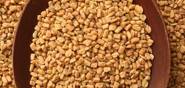 فوائد الخميرة الفورية للصدر فوائد الخميرة الفورية للصدر