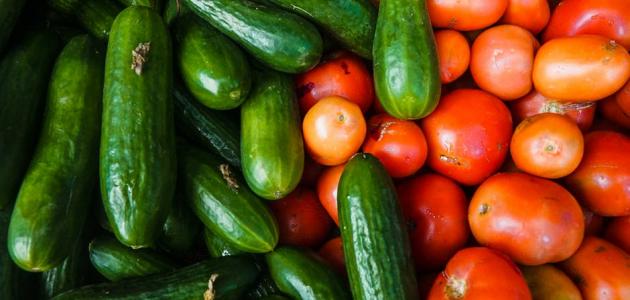 فوائد الخيار والطماطم فوائد الخيار والطماطم
