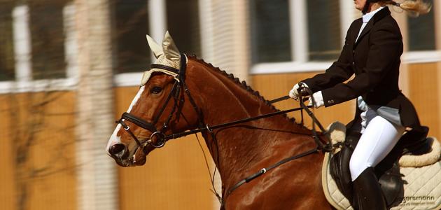 فوائد الرياضة للقلب فوائد الرياضة للقلب