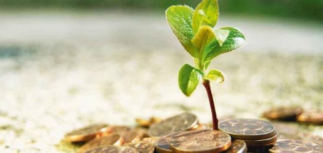 فوائد الزكاة على الفرد والمجتمع فوائد الزكاة على الفرد والمجتمع