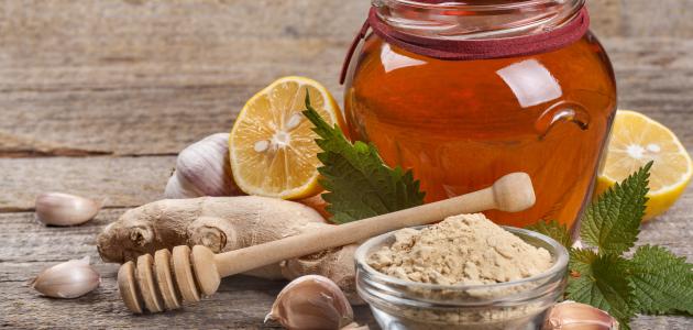 فوائد الزنجبيل المطحون مع العسل فوائد الزنجبيل المطحون مع العسل