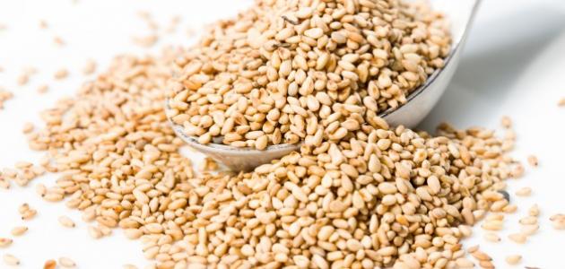 فوائد السمسم للشعر