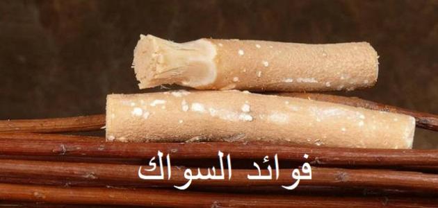 فوائد السواك علمياً