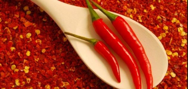 فوائد الشطة الحارة فوائد الشطة الحارة