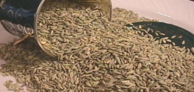 فوائد الشمر واليانسون فوائد الشمر واليانسون