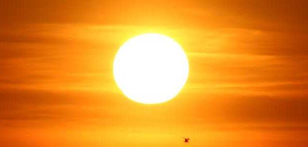 فوائد الشمس للحامل