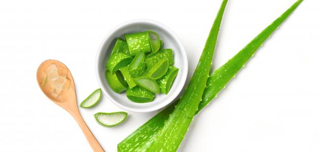 فوائد الصبار للبشرة وكيفية استخدامه فوائد الصبار للبشرة وكيفية استخدامه