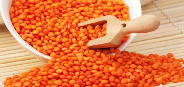 فوائد العدس الأحمر للبشرة فوائد العدس الأحمر للبشرة