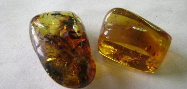 فوائد العنبر للتسمين فوائد العنبر للتسمين