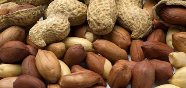 فوائد الفول السوداني للحامل فوائد الفول السوداني للحامل