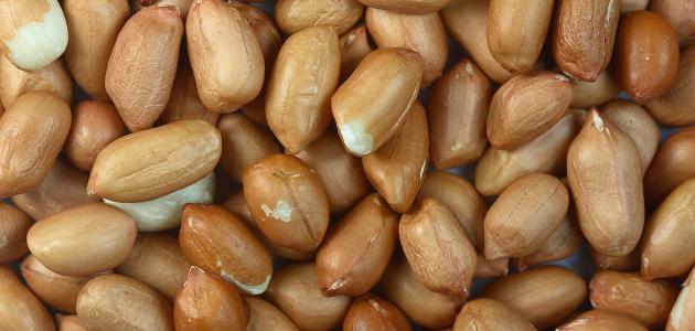 فوائد الفول السوداني للشعر فوائد الفول السوداني للشعر